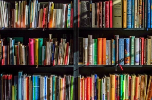 Bücherregal mit vielen verschiedenen Büchern&nbsp;&copy;&nbsp;Samtgemeinde Oldendorf-Himmelpforten