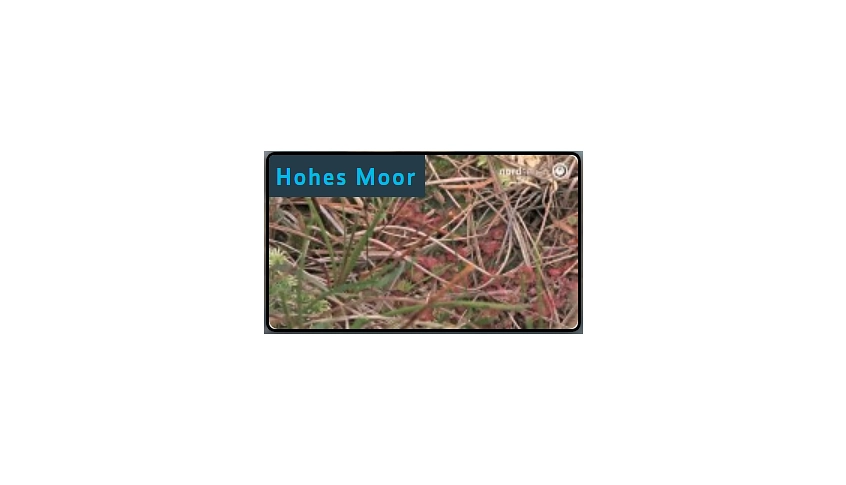hohes_moor.png