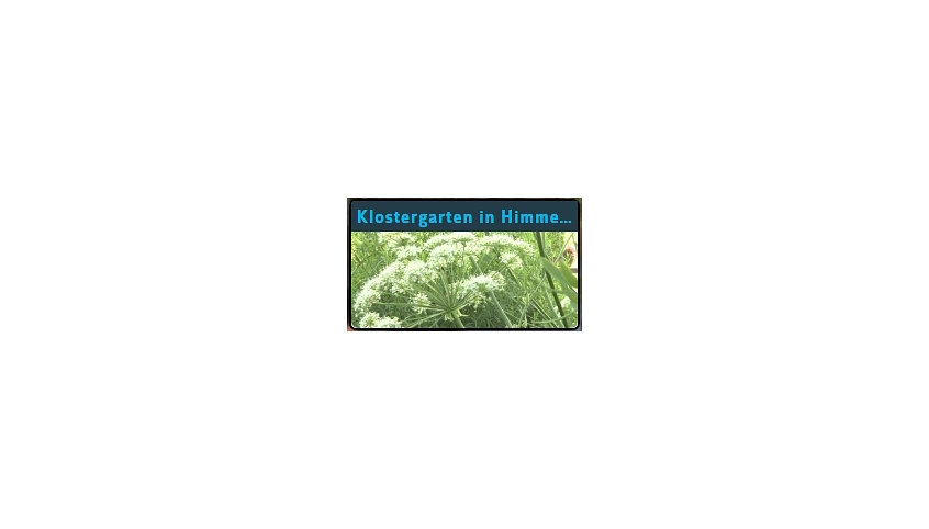 klostergarten.png