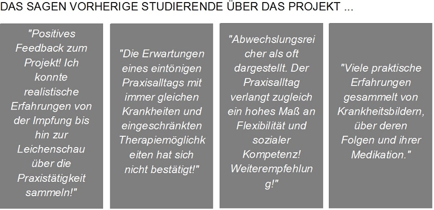 Landgang Grafik Zitate Landgang Grafik Zitate © Landgang