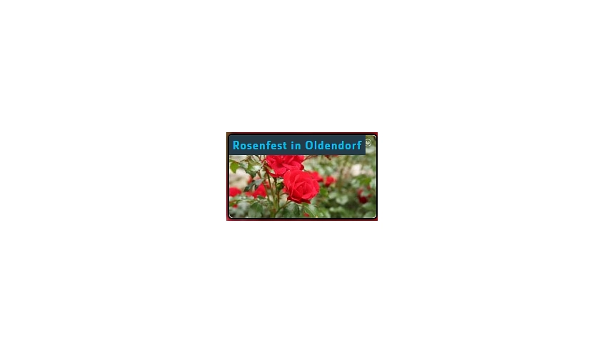 rosenfest.png